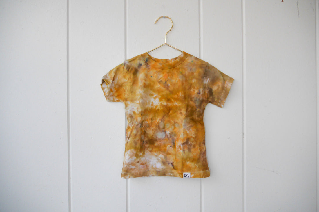 Toddler + Big Kid Basic T-shirt - PigMintShop
